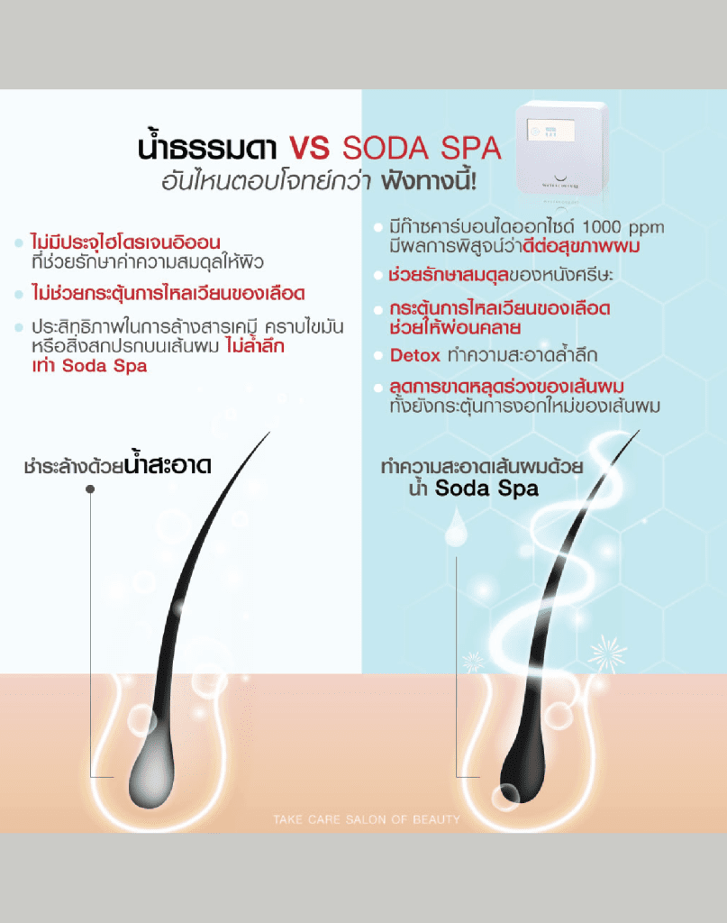 Brochure Hair July2022 01 13