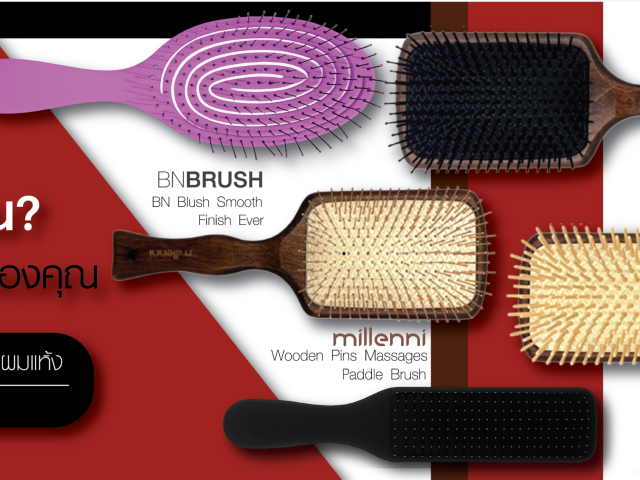 รวมหวีพรีเมียม BN Blush และ Millenni เลือกหวีให้เหมาะกับผมของคุณ ผมตรง ผมหยิก ผมแห้ง ผมพันกัน