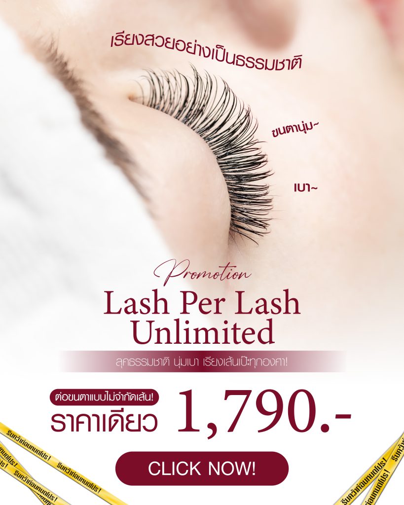 โปรโมชั่นต่อขนตา Lash Per Lash Unlimited ราคาเดียว 1,790 บาท ที่ Take Care สุขุมวิท 35