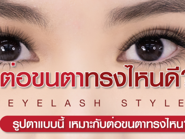 แบนเนอร์ “ต่อขนตาทรงไหนดี? (Eyelash Style)” — คู่มือเลือกสไตล์ต่อขนตาตามรูปตา