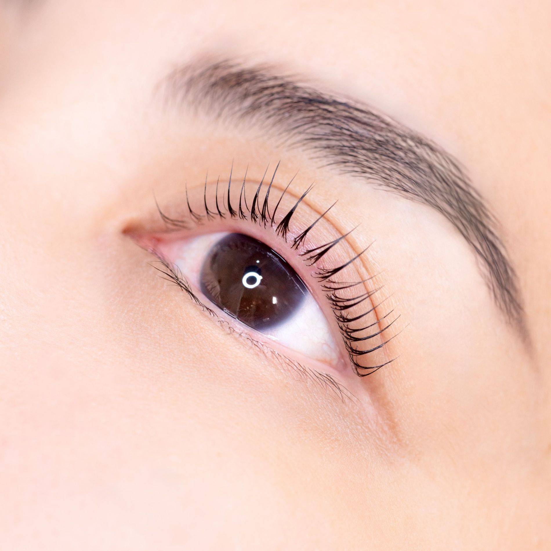 การทำลิฟติ้งขนตา Lash Lifting