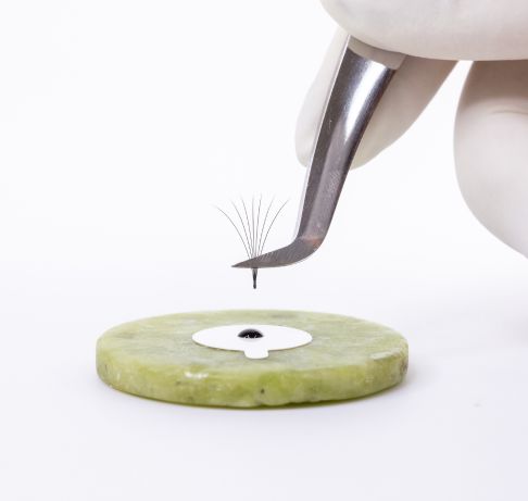 Eyelash Extension Mastery