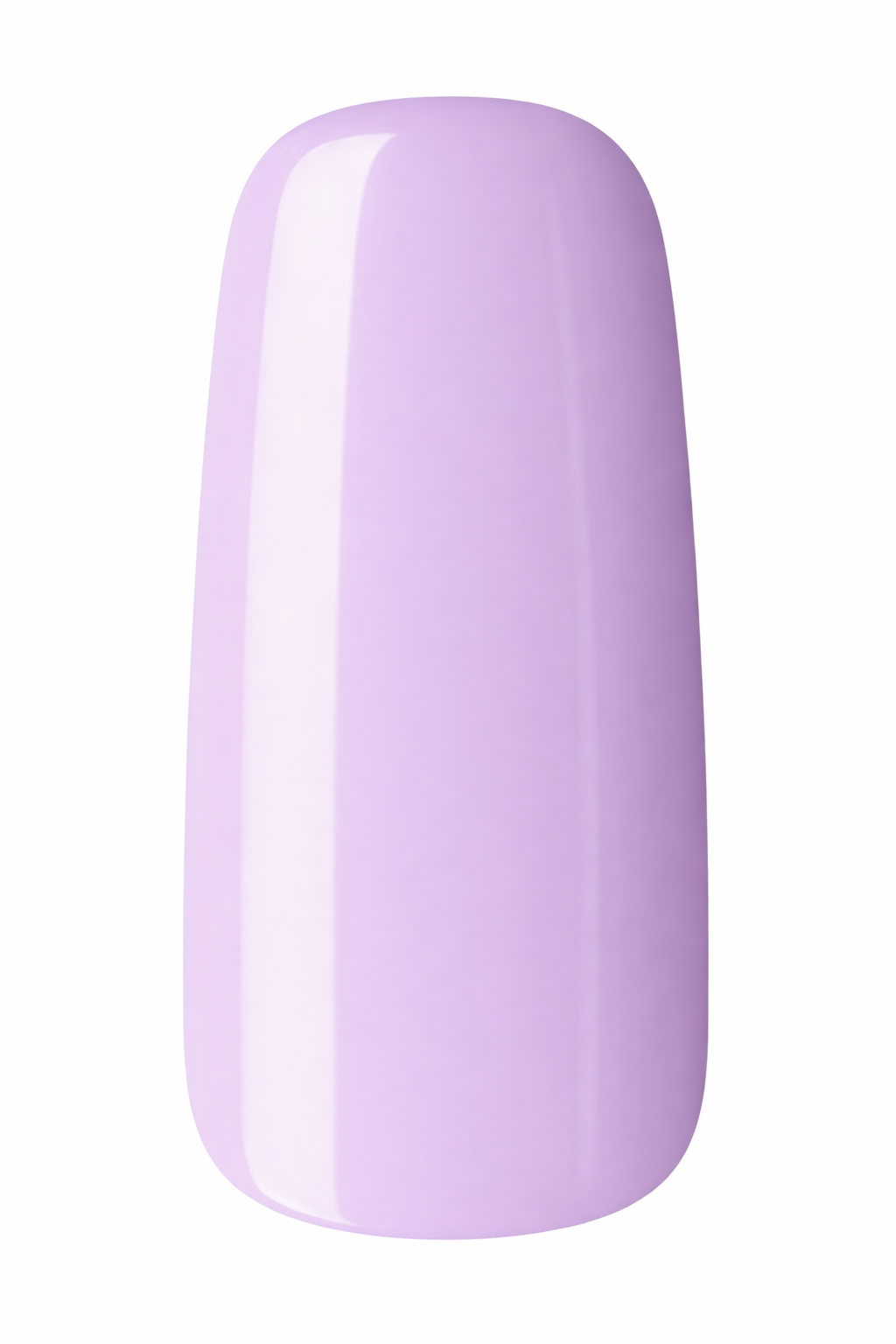 Lovely Lavender