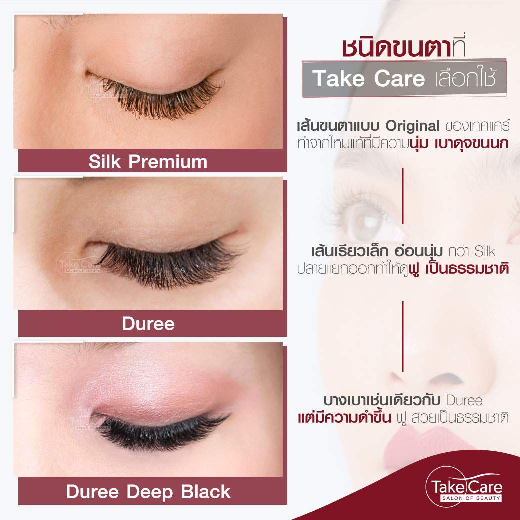 รูปแบบเส้นขนตา Procare