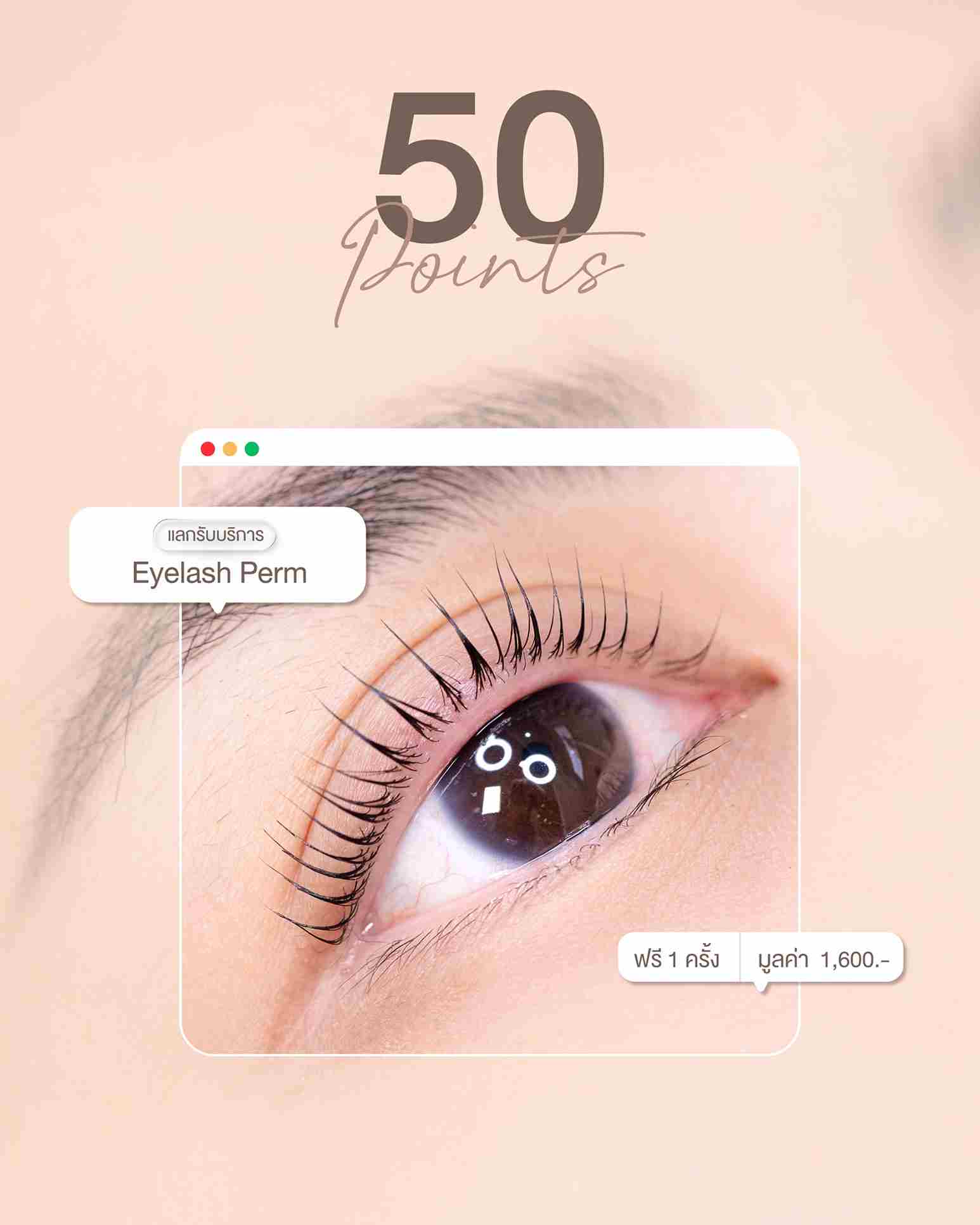 September Reward Points - Eyelash Lifting